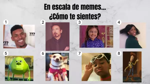 Escala De Memes Profesocial